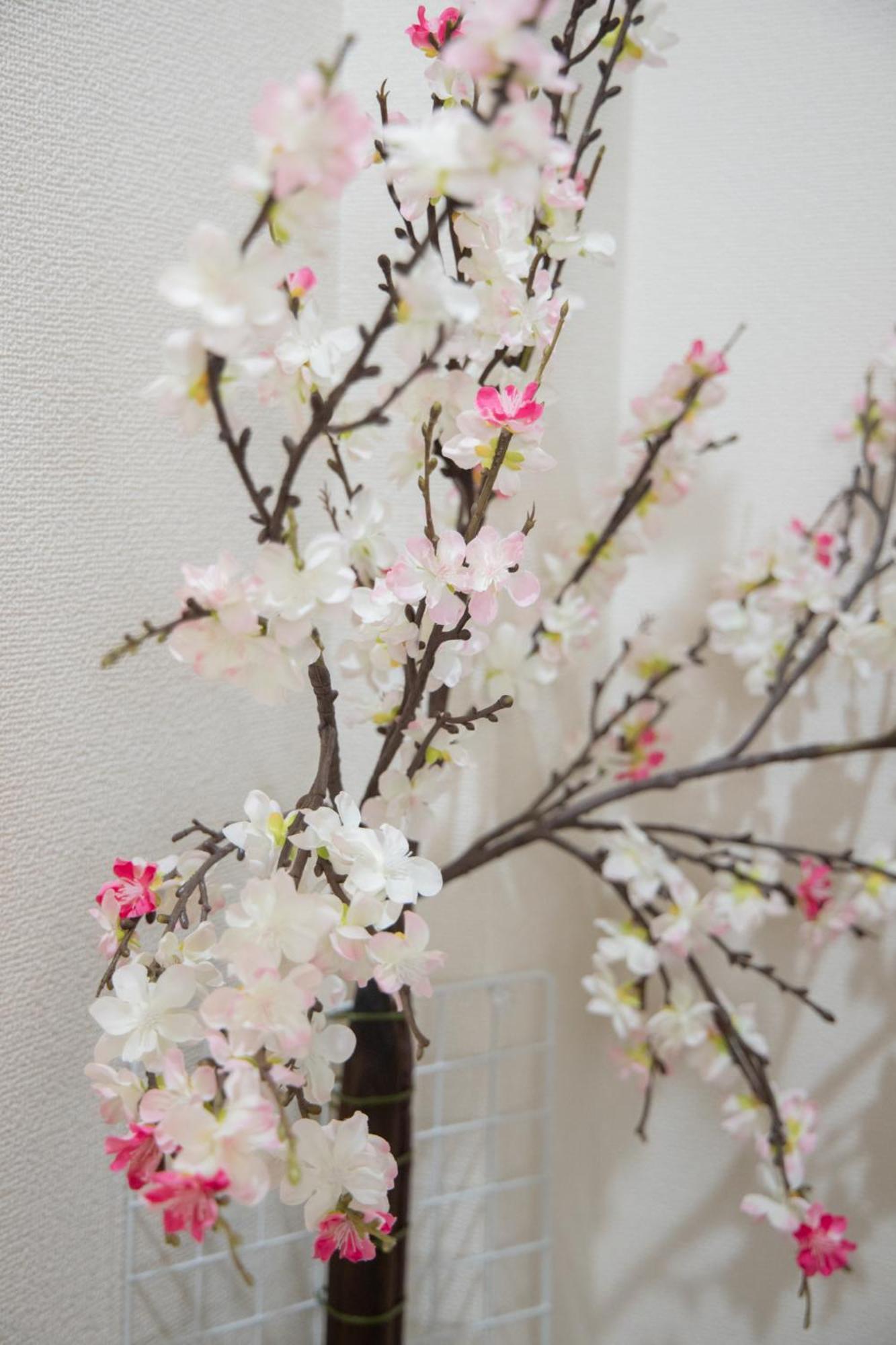 Style Labお花茶屋 Tokyo
